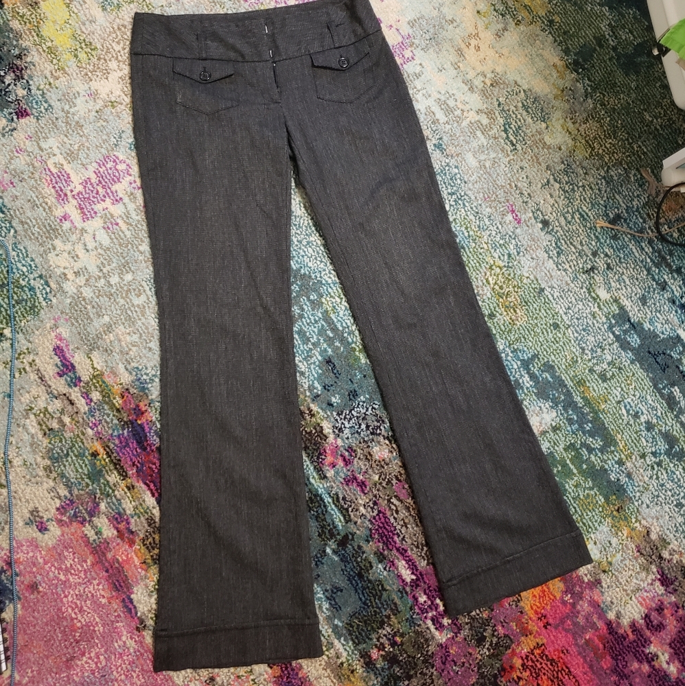 Boot/flare leg dress pants